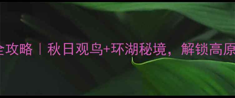 图片 🌟云南草海自驾全攻略｜秋日观鸟+环湖秘境，解锁高原湖泊的N种玩法🚗