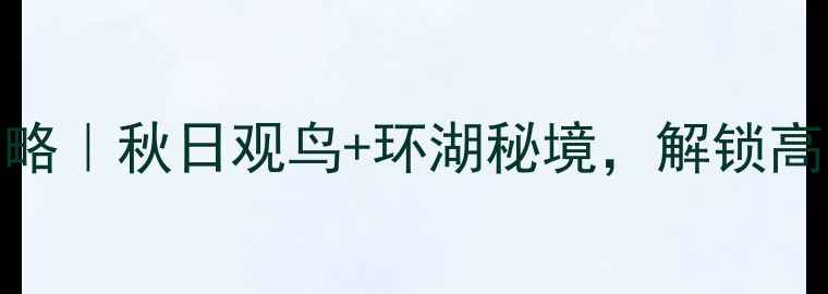 图片 🌟云南草海自驾全攻略｜秋日观鸟+环湖秘境，解锁高原湖泊的N种玩法🚗1