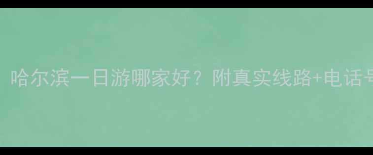 图片 🌟哈尔滨旅游团推荐｜哈尔滨一日游哪家好？附真实线路+电话号码，附赠超全攻略！