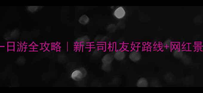 哈尔滨自驾一日游全攻略新手司机友好路线网红景点打卡清单