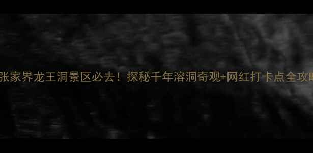 张家界龙王洞景区必去探秘千年溶洞奇观网红打卡点全攻略