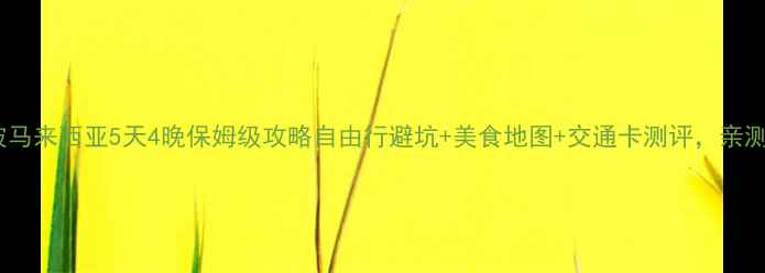 新加坡马来西亚5天4晚保姆级攻略自由行避坑美食地图交通卡测评亲测有用