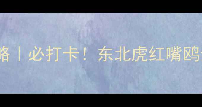 图片 🌟本溪动物园亲子游攻略｜必打卡！东北虎红嘴鸥全+隐藏玩法大公开🐾🚗
