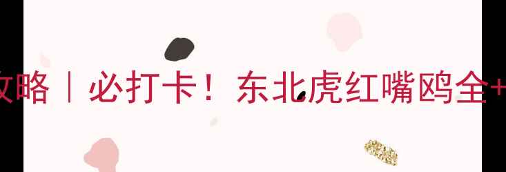 图片 🌟本溪动物园亲子游攻略｜必打卡！东北虎红嘴鸥全+隐藏玩法大公开🐾🚗1