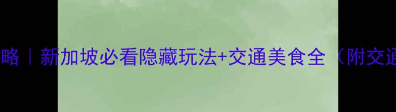 樟宜机场T4攻略新加坡必看隐藏玩法交通美食全附交通卡充值攻略
