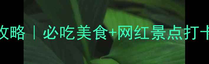 图片 🌟武汉三天两夜超全攻略｜必吃美食+网红景点打卡+交通住宿全攻略🌟1