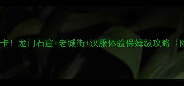 河南洛阳必打卡龙门石窟老城街汉服体验保姆级攻略附隐藏玩法