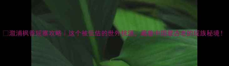 图片 🌟溆浦枫香瑶寨攻略｜这个被低估的世外桃源，藏着中国最古老的瑶族秘境！