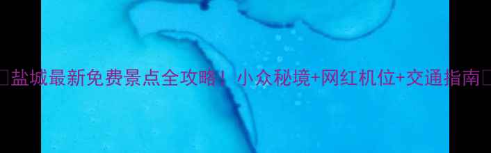 图片 🌟盐城最新免费景点全攻略！小众秘境+网红机位+交通指南📸