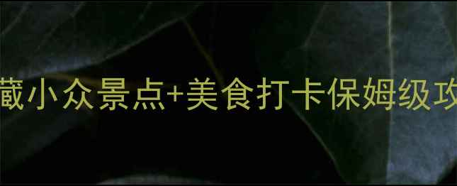 福冈周边游天花板私藏小众景点美食打卡保姆级攻略附交通门票拍照点