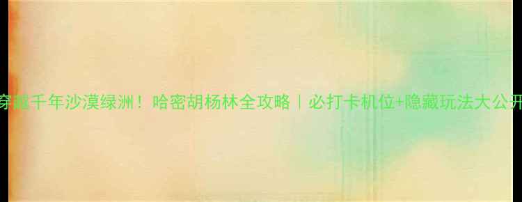 穿越千年沙漠绿洲哈密胡杨林全攻略必打卡机位隐藏玩法大公开