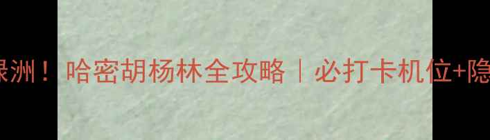 图片 🌟穿越千年沙漠绿洲！哈密胡杨林全攻略｜必打卡机位+隐藏玩法大公开🌳1