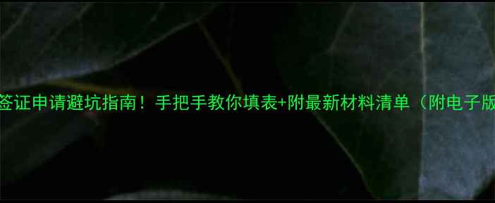 图片 🌟美国签证申请避坑指南！手把手教你填表+附最新材料清单（附电子版模板）