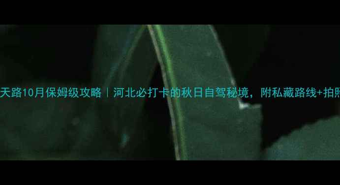 草原天路10月保姆级攻略河北必打卡的秋日自驾秘境附私藏路线拍照点位