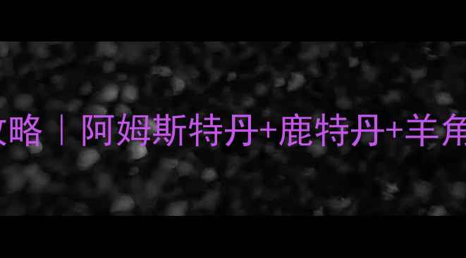 荷兰3天2夜保姆级攻略阿姆斯特丹鹿特丹羊角村小众玩法全公开