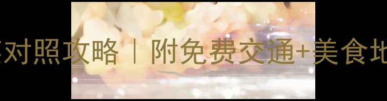 西安必去景点中英对照攻略附免费交通美食地图附实用小贴士