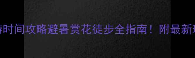 图片 🌟赤水最佳旅游时间攻略避暑赏花徒步全指南！附最新玩法+避坑Tips2