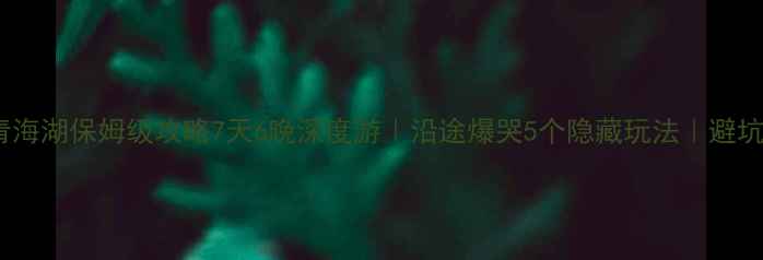 图片 🌟银川自驾青海湖保姆级攻略7天6晚深度游｜沿途爆哭5个隐藏玩法｜避坑指南必看🚗1