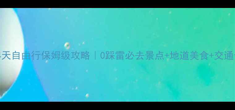 首尔4天自由行保姆级攻略0踩雷必去景点地道美食交通卡教程