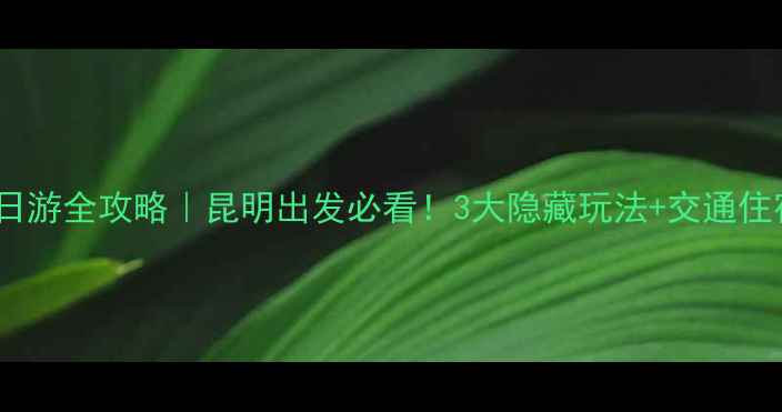 图片 🌟高黎贡山一日游全攻略｜昆明出发必看！3大隐藏玩法+交通住宿避坑指南💡1