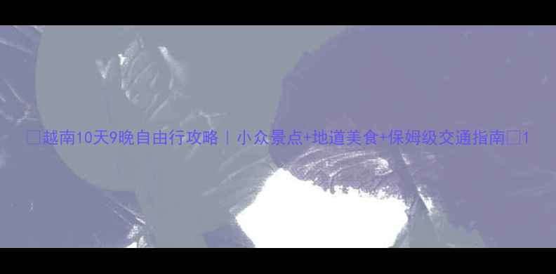 越南10天9晚自由行攻略小众景点地道美食保姆级交通指南