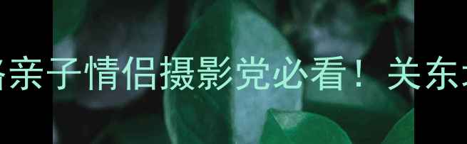 图片 🌸东京周边5天4夜全攻略亲子情侣摄影党必看！关东地区隐藏玩法大公开🏞️