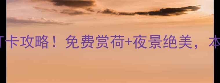 山西大同御河公园必打卡攻略免费赏荷夜景绝美本地人私藏玩法大公开