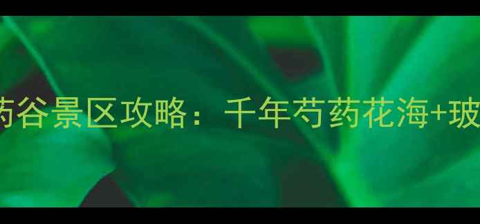 春日必打卡中江县芍药谷景区攻略千年芍药花海玻璃栈道星空露营全攻略