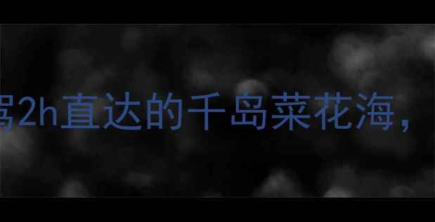 图片 🌸江苏春季必打卡！自驾2h直达的千岛菜花海，人少景美攻略全公开🚗1