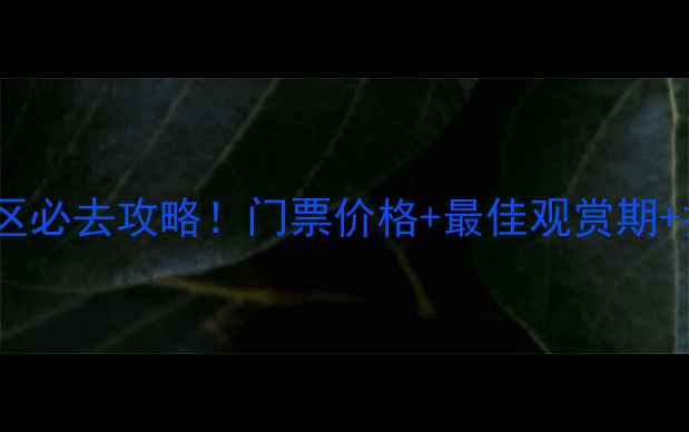 英山桃花冲风景区必去攻略门票价格最佳观赏期拍照点位全公开
