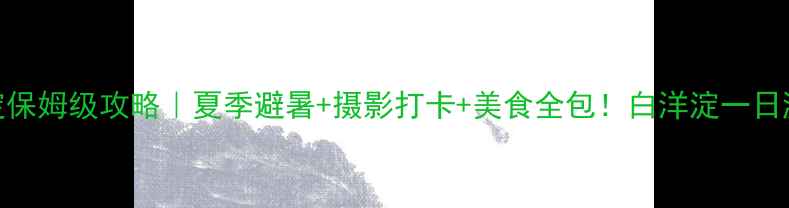 图片 🌾安新白洋淀保姆级攻略｜夏季避暑+摄影打卡+美食全包！白洋淀一日游必看清单✅