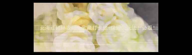 图片 🌿北海红树林攻略｜宝藏打卡地+保姆级玩法！必看！