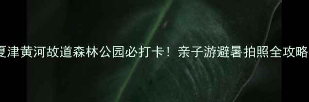 夏津黄河故道森林公园必打卡亲子游避暑拍照全攻略