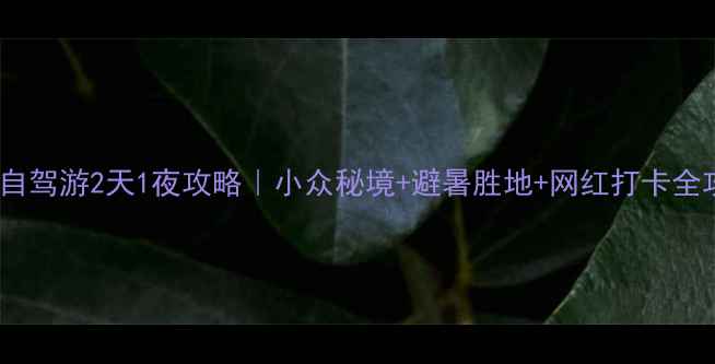 图片 🌿安吉自驾游2天1夜攻略｜小众秘境+避暑胜地+网红打卡全攻略🚗2