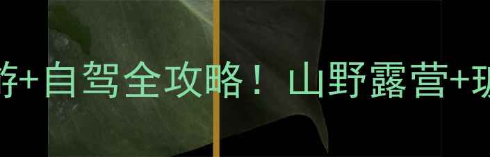 图片 🌿崇州千佛山避暑攻略｜亲子游+自驾全攻略！山野露营+玻璃栈道+千年古寺一次玩够✨2