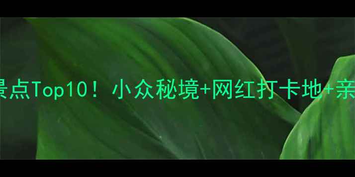 图片 🌿杭州临安必去景点Top10！小众秘境+网红打卡地+亲子游攻略全公开2