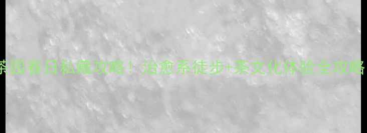 杭州西湖龙井茶园春日私藏攻略治愈系徒步茶文化体验全攻略附打卡地图