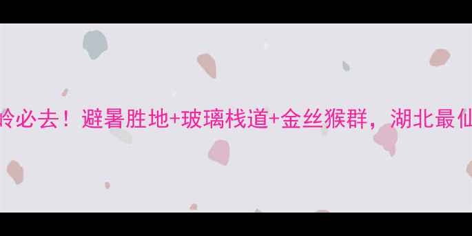 图片 🌿神农顶景区金猴岭必去！避暑胜地+玻璃栈道+金丝猴群，湖北最仙的徒步路线攻略🌿