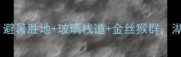 图片 🌿神农顶景区金猴岭必去！避暑胜地+玻璃栈道+金丝猴群，湖北最仙的徒步路线攻略🌿2