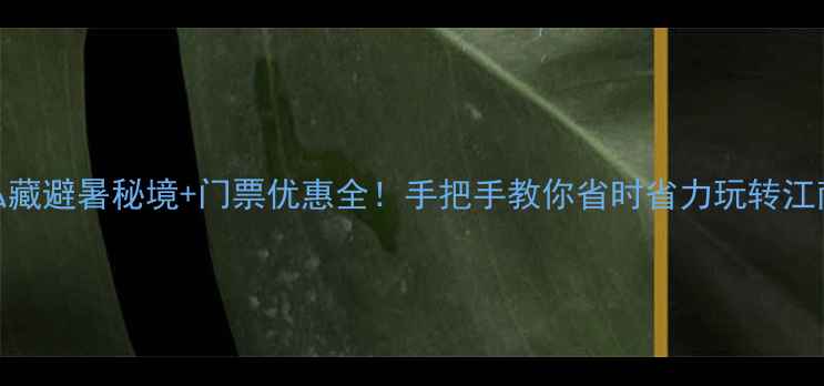 图片 🌿莫干山攻略｜私藏避暑秘境+门票优惠全！手把手教你省时省力玩转江南（附避坑指南）