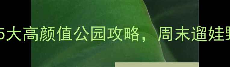 图片 🌿阳江必去！5大高颜值公园攻略，周末遛娃野餐两不误！1