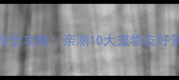 天津带狗旅游全攻略亲测10大宠物友好景点避坑指南
