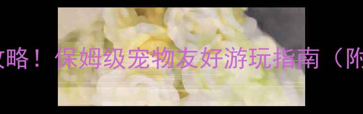 图片 🐾横店景区带宠物全攻略！保姆级宠物友好游玩指南（附最新政策+隐藏玩法）