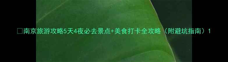 南京旅游攻略5天4夜必去景点美食打卡全攻略附避坑指南