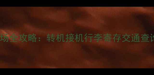 图片 📌法国戴高乐机场全攻略：转机接机行李寄存交通查询+避坑指南🇫🇷