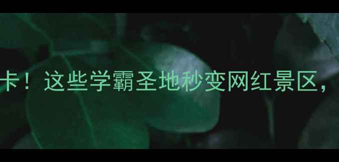 图片 📚上海暑期必打卡！这些学霸圣地秒变网红景区，错过再等一年！