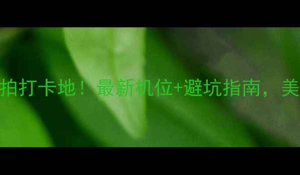 图片 📸张家界必拍打卡地！最新机位+避坑指南，美照轻松get1