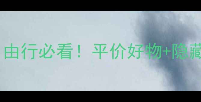 日本服装批发市场攻略自由行必看平价好物隐藏玩法省下千元购物预算