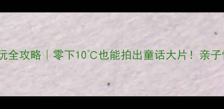 图片 🔥欧乐堡冬季游玩全攻略｜零下10℃也能拍出童话大片！亲子情侣闺蜜必冲🔥1