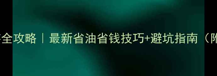 图片 🚗GOGOCAR自驾游全攻略｜最新省油省钱技巧+避坑指南（附详细使用教程）